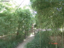 DSC00079
