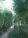 DSC00080
