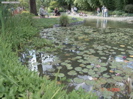 DSC00085