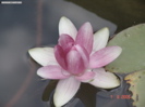 DSC00086