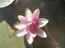 DSC00090
