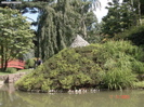 DSC00042