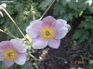 DSC00045