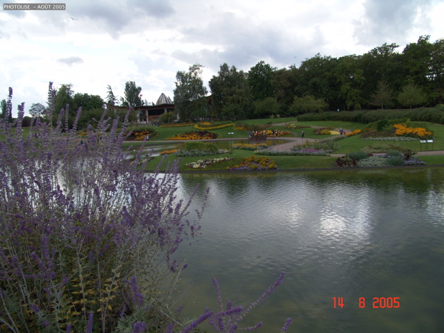 DSC00096