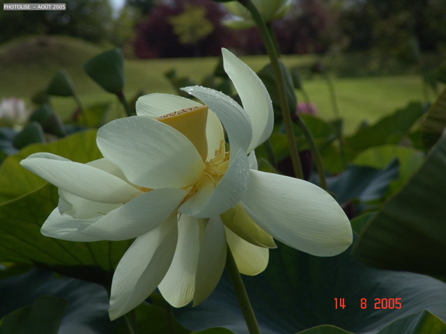 DSC00107