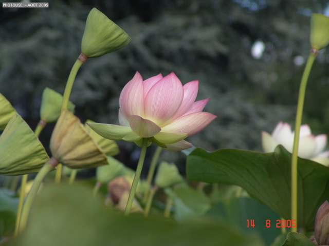 DSC00108