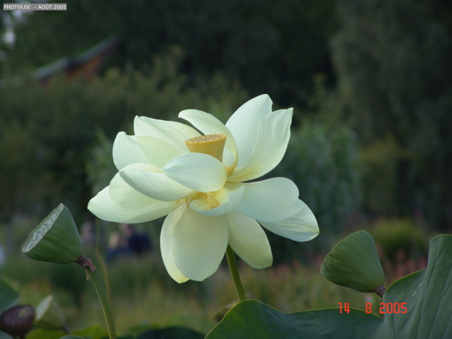 DSC00109