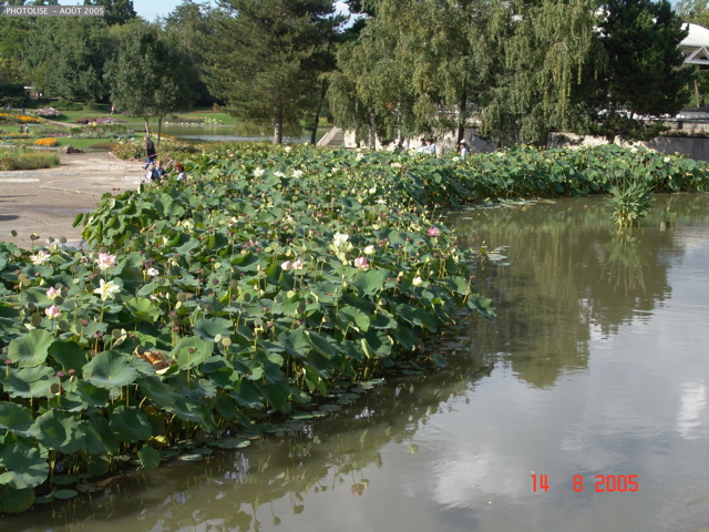DSC00116