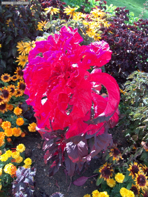 DSC00097