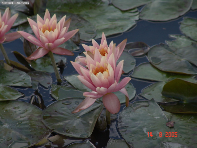 DSC00119