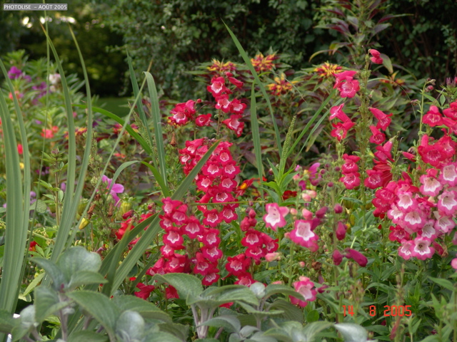 DSC00124