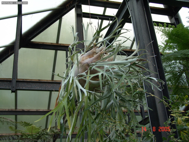 DSC00129
