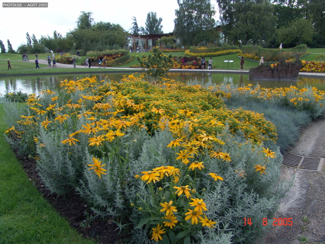 DSC00100