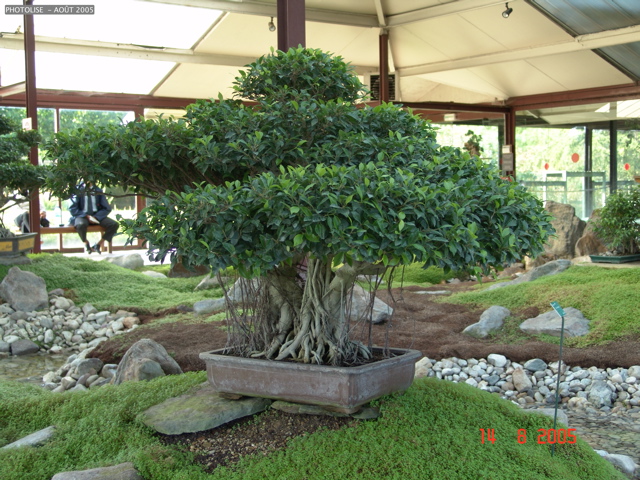 DSC00133