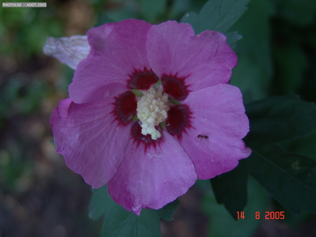 DSC00138