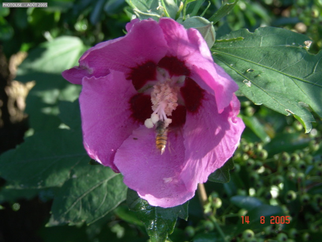 DSC00140