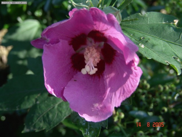 DSC00141