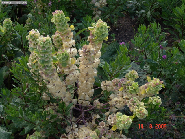 DSC00104