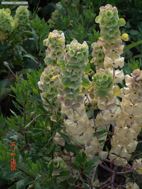 DSC00105