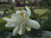 DSC00107
