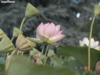 DSC00108
