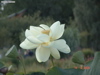 DSC00109