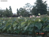 DSC00111