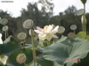DSC00114