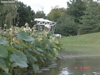 DSC00115