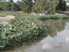 DSC00116