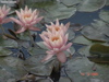 DSC00119