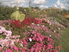 DSC00120