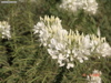 DSC00122