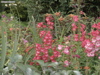DSC00124