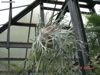 DSC00129