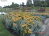 DSC00100
