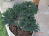 DSC00135