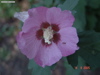 DSC00138