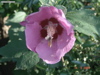 DSC00140
