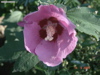 DSC00141