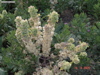 DSC00104