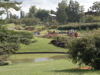 DSC00106