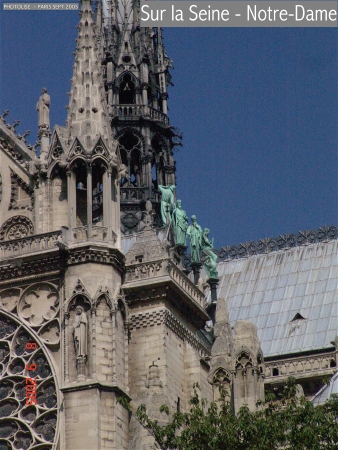 DSC00394.jpg