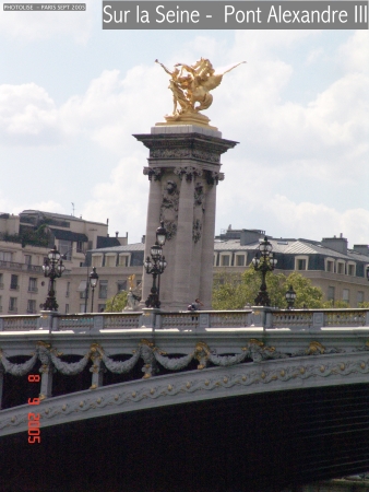 DSC00419.jpg