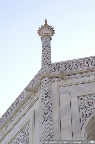PICT6701.jpg