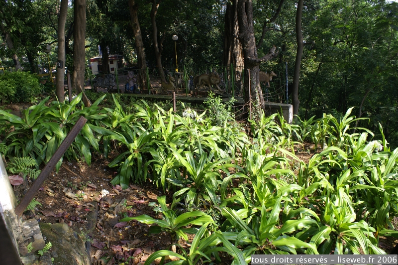 PICT9833.jpg