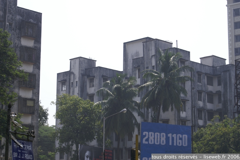 PICT9877.jpg