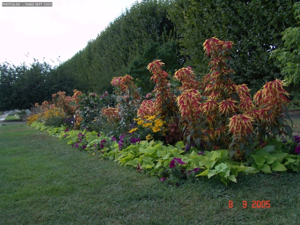 DSC00446.jpg
