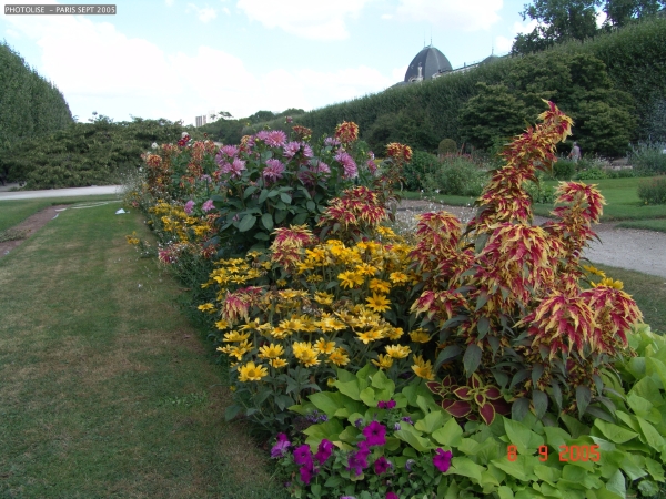 DSC00447.jpg