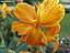 DSC00451.jpg